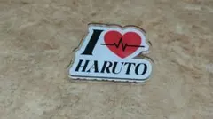 HARUTO ピンバッジ