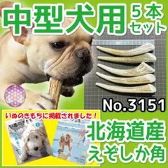 中型犬用 エゾ鹿の角 5本セット 北海道産 蝦夷鹿 犬のおもちゃ 31511のサムネイル