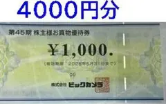 ビックカメラ 株主優待　 4000円分（1000円4枚）