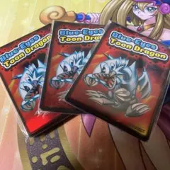 遊戯王 ブルアイズ•トゥーン•ドラゴン プロテクター3点セット - メルカリ