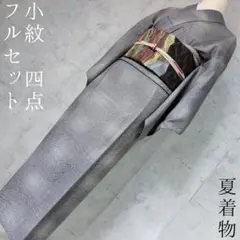 夏着物 絽紗 色無地 付け下げ フルセット 正絹 訪問着 刺繍 盛夏 O7