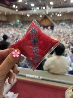 (最終お値下)大相撲ガチャ　座布団キーホルダー　熱海富士