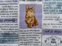 生地・猫