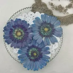 an様 リクエスト 3点 まとめ商品