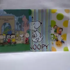 Item thumbnail for item 6c3e5c0c-f9ce-4454-a6d0-5caceb4cb474