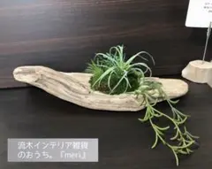 流木インテリアＮｏ．1125☆苔玉エアプランツ オブジェ(フェイクグリーン)