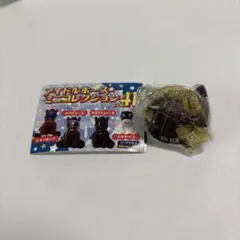 アイドルホースミニコレクションVOL41 シャフリヤール