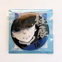 鬼滅の刃 冨岡義勇 エモーショナル缶バッジ 柱展 柱百景 5番