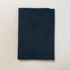 Item thumbnail for item f6588af6-2d13-4908-9126-6add12ae852c