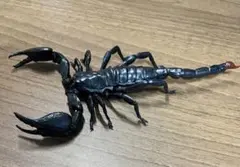 Item thumbnail for item 20bec134-b8ae-4301-a905-9319febecd34