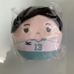 国見英 ふわコロりん BIG ハイキュー！！ グッズ-ぬいぐるみ】ハイキュー!! ふわコロりんBIG4F：国見 英【再販