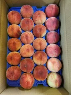 桃【あかつき】⑬家庭用 山形県産5キロ箱詰め22玉入りのサムネイル