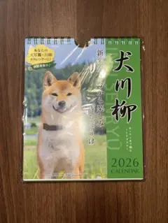 Item thumbnail for item 67c17bae-0975-49e4-befd-f2719e941cc9