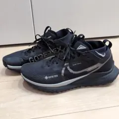 nikeゴアテックス