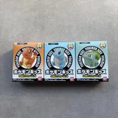 ポケモンキッズ 30周年スペシャルvol.1編 30周年 カントー御三家