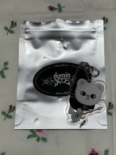 straykids スキズ ダングルキーリング ヒョンジン　ジニレット