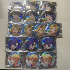 【まとめ売り】 パラライ 真夏の幻影 缶バッジ VISTY セット