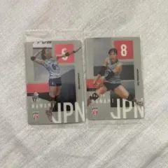 バレーボール 日本代表 関菜々巳 小島満菜美