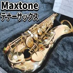 マックストーン MAXTONE アルトサックス 管楽器 ハードケース付　サックス 2025年最新】サックス MAXTONEの人気アイテム - メルカリ