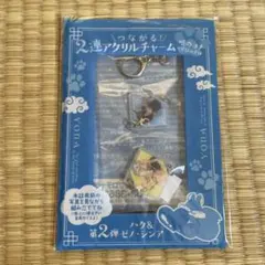 花とゆめ　付録　暁のヨナ　つながる2連アクリルチャーム　ハク　ゼノ　シンア