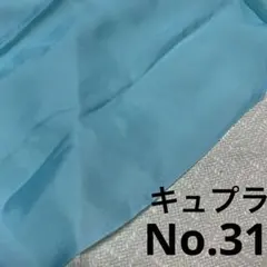 【シワあり】裏地No.31
