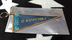 千葉ジェッツ　15th　シークレット選手ペナントキーホルダー　金近廉