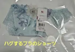 ワコール　ハグするブラシリーズ　ショーツTUのサムネイル