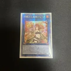 2026年最新】ヒータ 25th アジアの人気アイテム - メルカリ