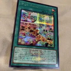 ヤミーズメント★アクロッキー　ロゴ入り　シークレット