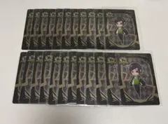 ツイステ　リリアヴァンルージュ　トレカ23枚セット