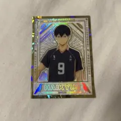 ハイキュー ホロ箔クリアカードコレクション 烏野 影山飛雄