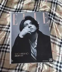増刊 ELLE JAPON 特別版 2023年11月号 - メルカリ