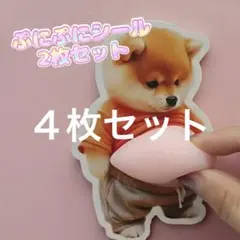 お腹プニプニシール　柴犬　3Dシールステッカ　４枚セット