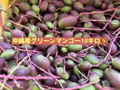 摘果マンゴー　グリーンマンゴー　7kg 摘果マンゴー 7kg - メルカリ