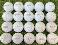 ロストボール⭐︎カークランドシグニチャー⭐︎2581