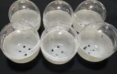 嵐 ガチャ 歴代ツアー ロゴマグネット 3種 セット AROUND ASIA