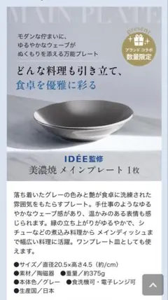 ☆新品未使用☆アテニアとIDÉEコラボ　 美濃焼 メインプレート Attenirのサムネイル