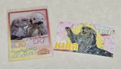 とばすいコレカ2 鳥羽水族館 ラッコ キラメイ +フォトカード(おまけ