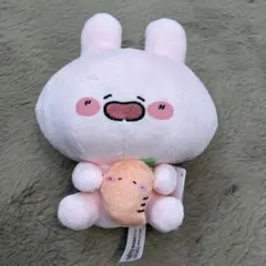 あさみみちゃん はぐはぐぬいぐるみ