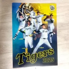 阪神タイガース 2025 クリアファイル