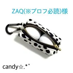 ZAQ(※プロフ必読)様専用✩.*˚ゴルフボールケース ハンドメイド✩.*˚のサムネイル