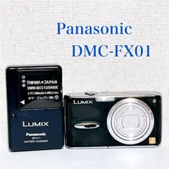 Panasonic LUMIX DMC-FX01【返品保証・最短翌日発送】 - メルカリ