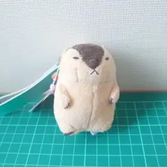 マーモット　TAITO限定 ぬいぐるみキーホルダー