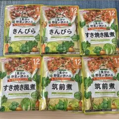 WAKODO 離乳食 きんぴら・すき焼き風煮・筑前煮 6食セット