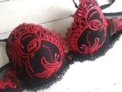 《リズシャルメル》Invitation Sexy　ブラ単品　FR85Aのサムネイル