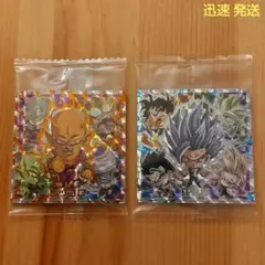ドラゴンボール シールウエハース 超8-05 超8-06 EGR 2枚セット
