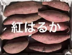 さつまいも　紅はるか1.2kg〜1.4kg（箱込）