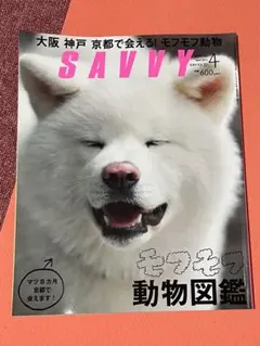 Item thumbnail for item 04cc0962-9ed0-4484-90f3-de77739c0317