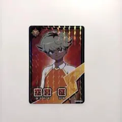 Item thumbnail for item 57852052-7a30-46b6-bed0-e63cac3d2143