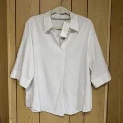 Item thumbnail for item 7462ad16-574c-409b-bd2e-21fe1624b313